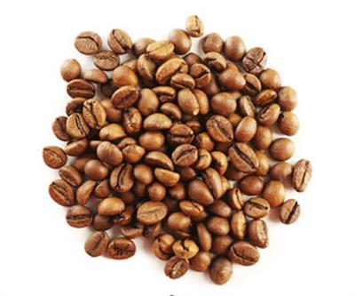 Cafe robusta (Coffee bean) 